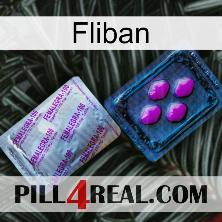 Fliban 37